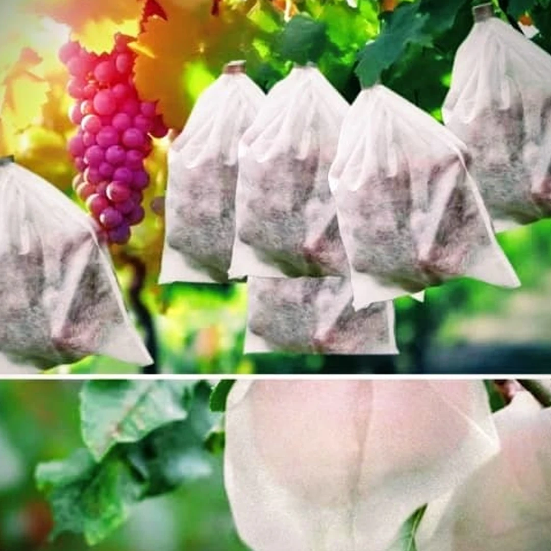 Fruit Cover